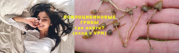 круглые Магас