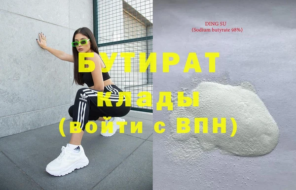 индика Бородино