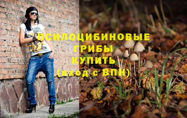 круглые Магас