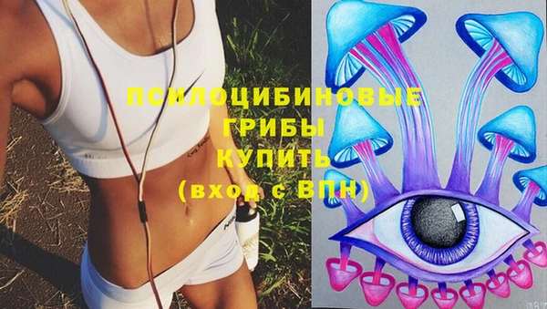mdpv Бронницы