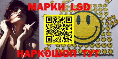 прущие грибы Абакан