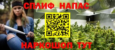 спайс Будённовск