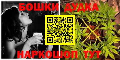 прущие грибы Абакан