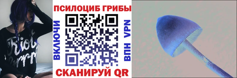 Галлюциногенные грибы прущие грибы  закладки  Мурино 