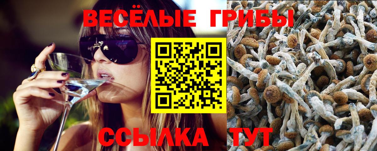 Мурино  Галлюциногенные грибы GOLDEN TEACHER  Вход с VPN  Галлюциногенные грибы Magic Shrooms 