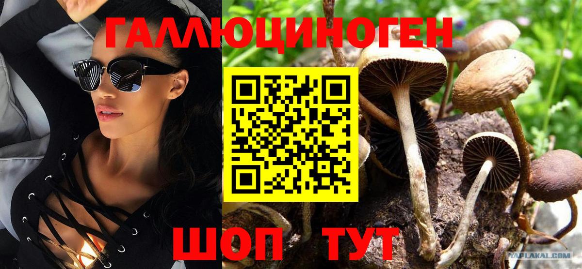 Псилоцибиновые грибы Magic Shrooms Мурино